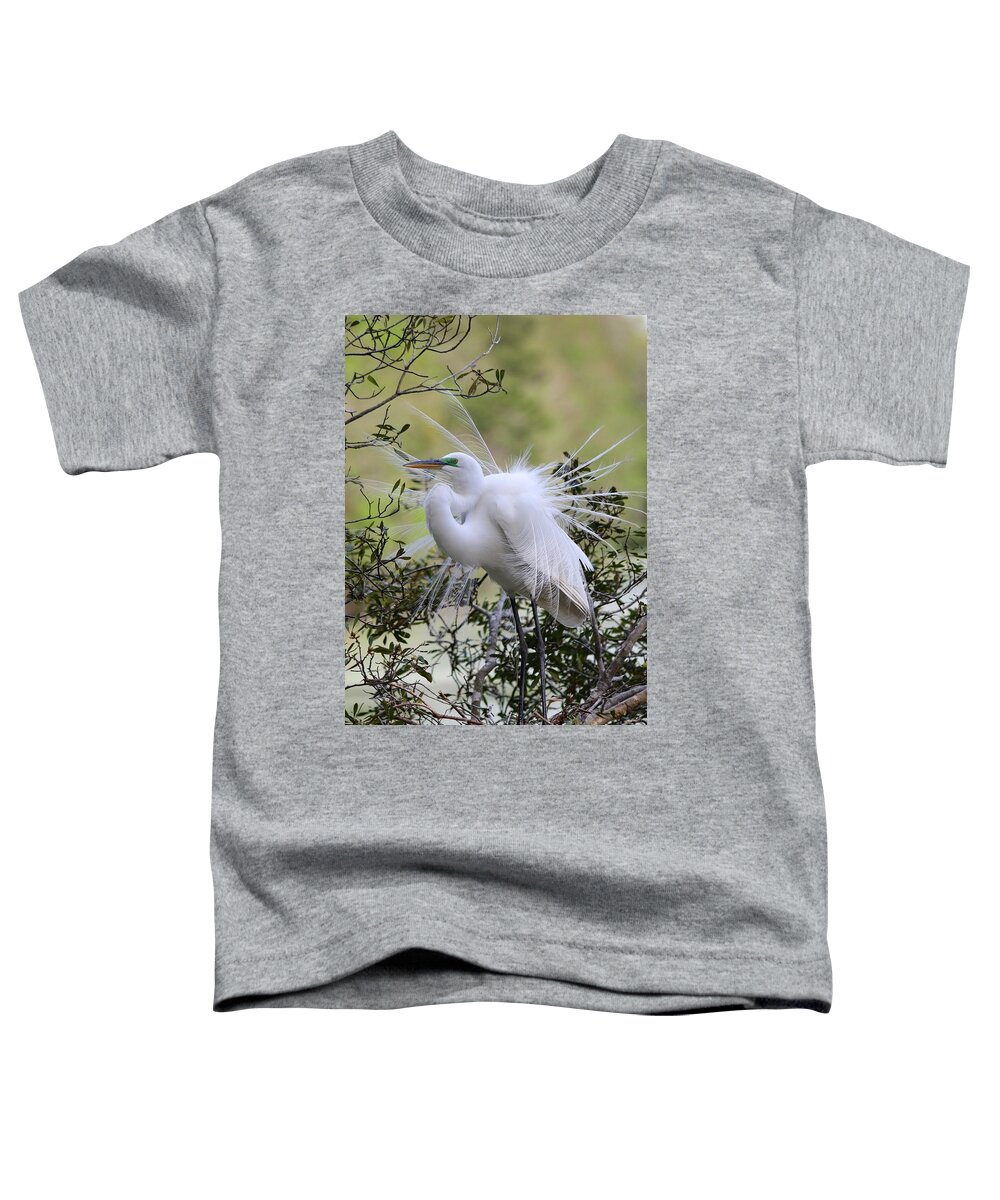 Great White Egret Toddler T-Shirt featuring the photograph Grace IN Nature II by Carol Montoya