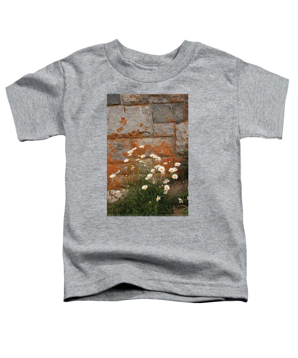 Landscape Toddler T-Shirt featuring the photograph Granite Daisies by Doug Mills