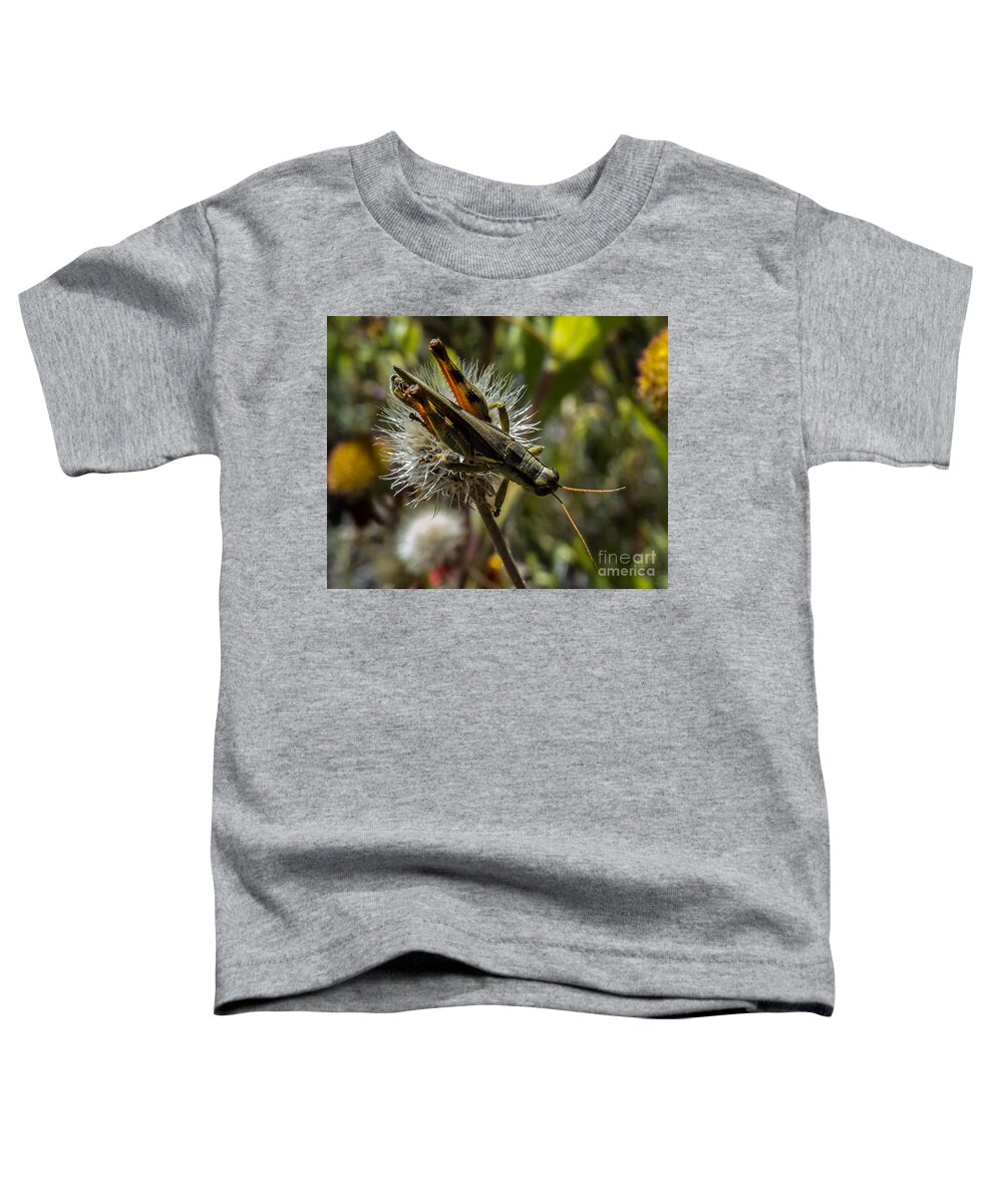 Grasshopper Toddler T-Shirt featuring the photograph Grasshopper 1 by Christy Garavetto