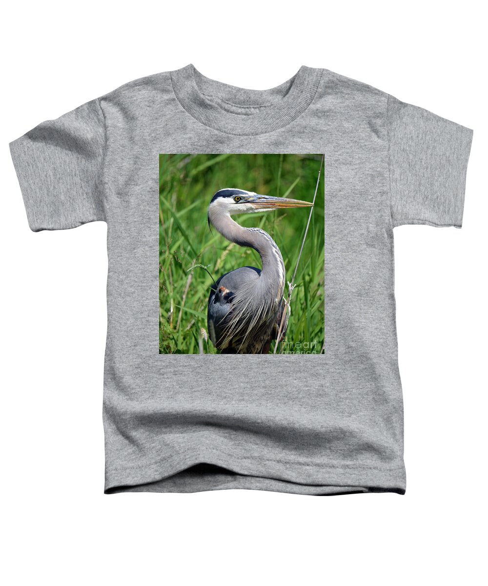 Denise Bruchman Toddler T-Shirt featuring the photograph Great Blue Heron Close-up by Denise Bruchman