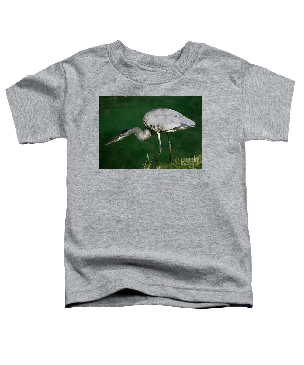 Animal Toddler T-Shirt featuring the photograph Great Blue Heron series by Tom Brickhouse