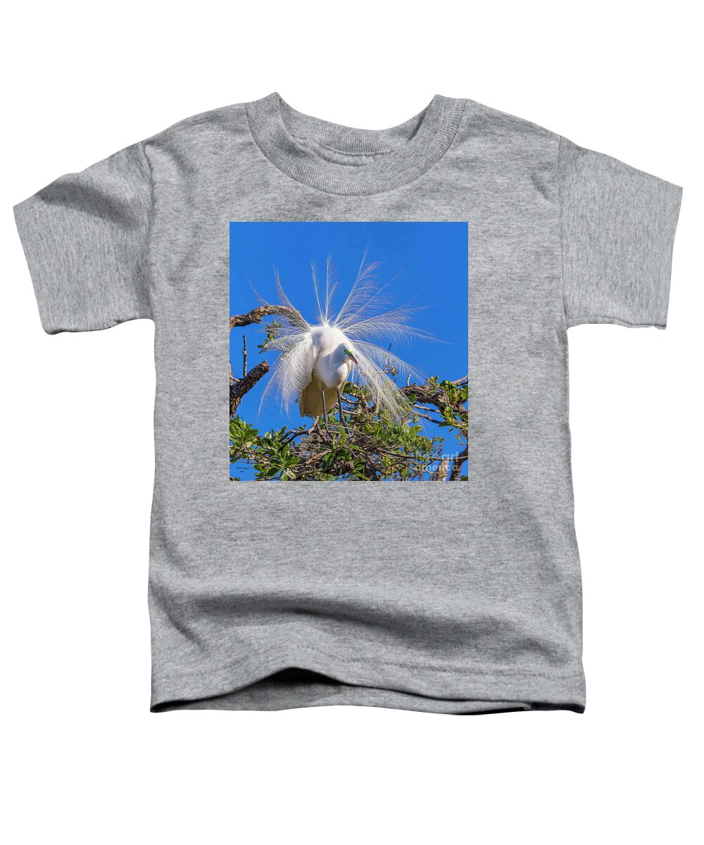 Egrets Toddler T-Shirt featuring the photograph Great Egret In Breeding Plumage by DB Hayes