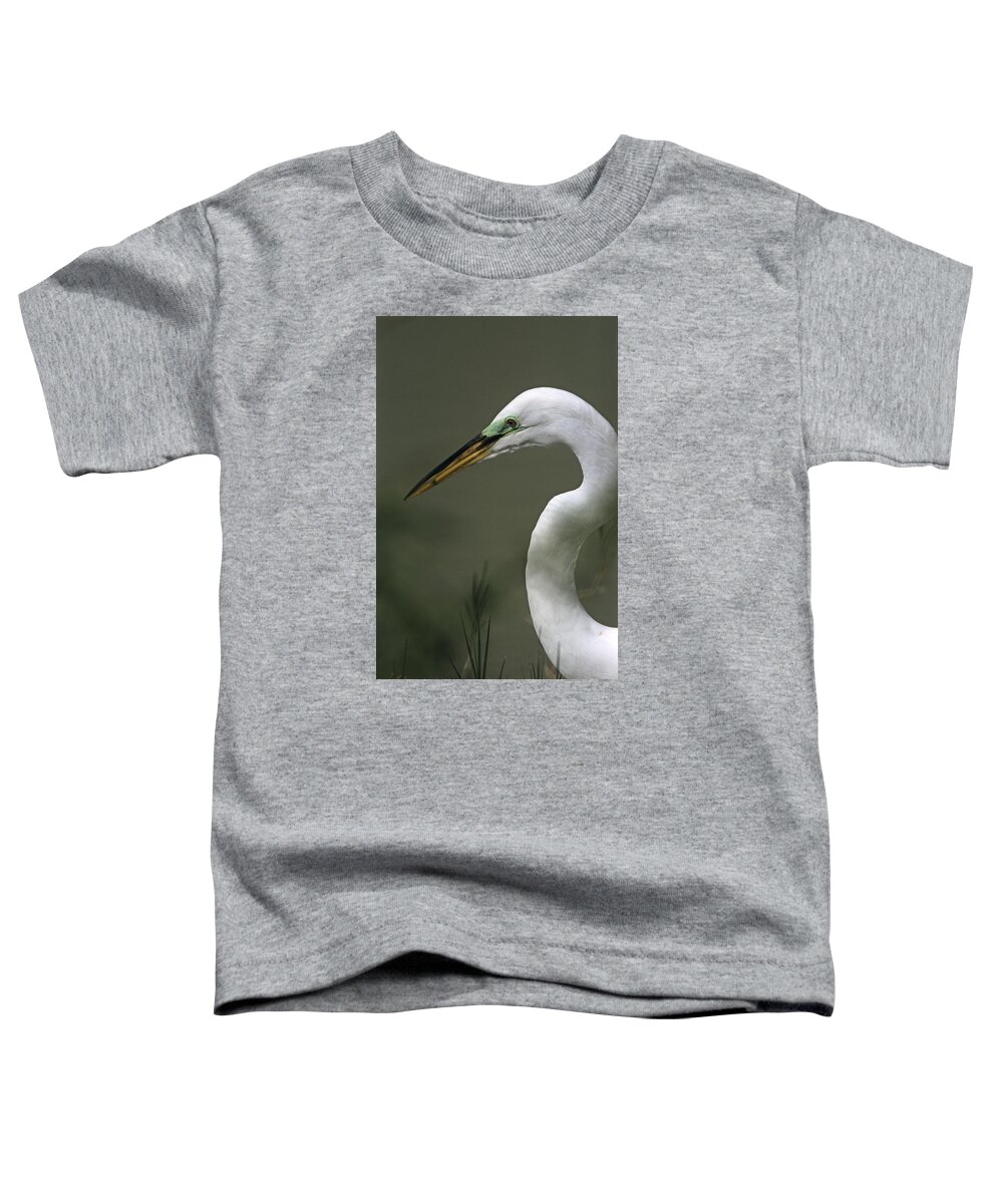 Wading Bird Toddler T-Shirt featuring the photograph Great White Egret in Breeding Plumage Headshot by John Harmon