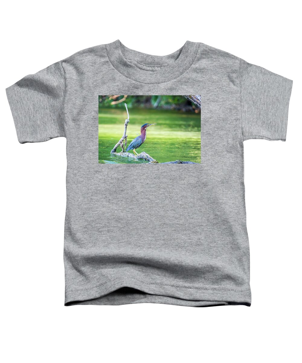 Green-backed Heron Toddler T-Shirt featuring the photograph Green Backed Heron by Pamela Williams