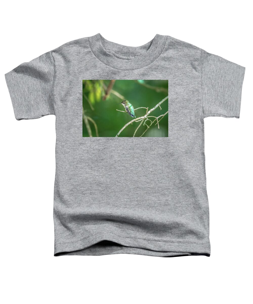 Green Toddler T-Shirt featuring the photograph Green Hummingbird Pirched On A Tree In A Wild by Alex Grichenko