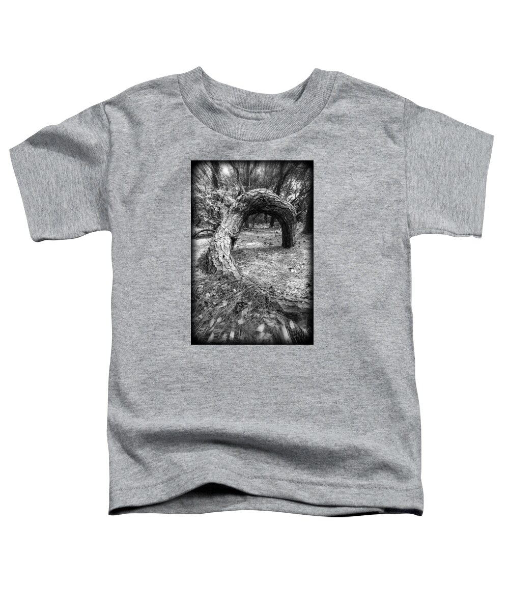 Pine Toddler T-Shirt featuring the photograph Grounded by Alan Raasch