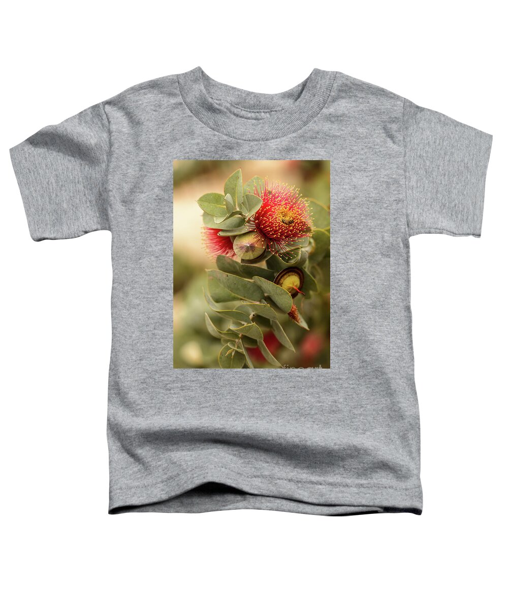 Flora Toddler T-Shirt featuring the photograph Gum Nuts by Werner Padarin