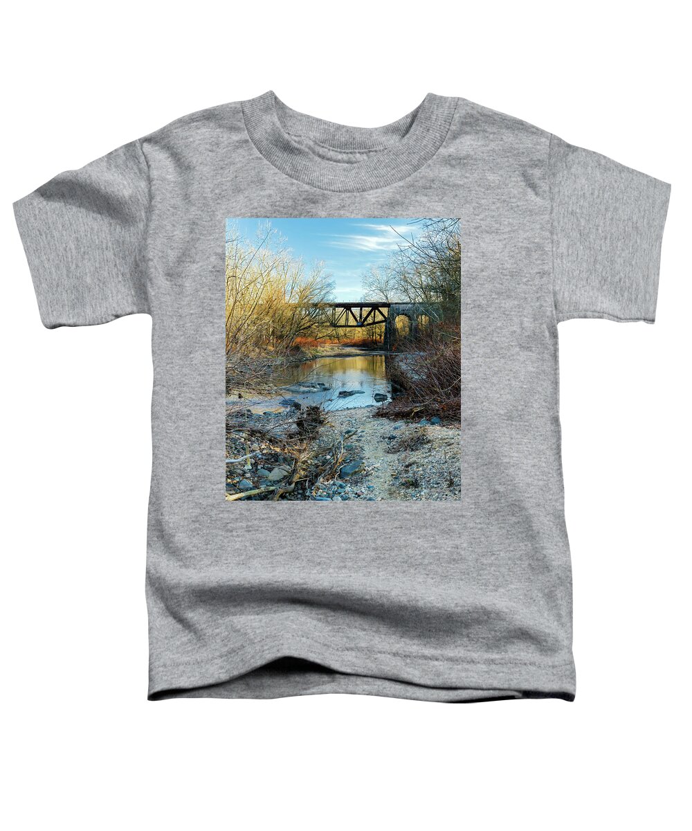 2d Toddler T-Shirt featuring the photograph Gunpowder Falls Train Bridge by Brian Wallace