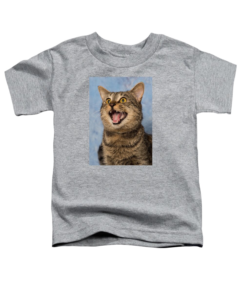 Cat Toddler T-Shirt featuring the photograph Happy Cat by Janis Knight