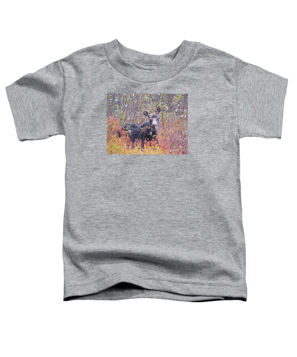 Moose Toddler T-Shirt featuring the photograph Happy Moose by Elizabeth Dow