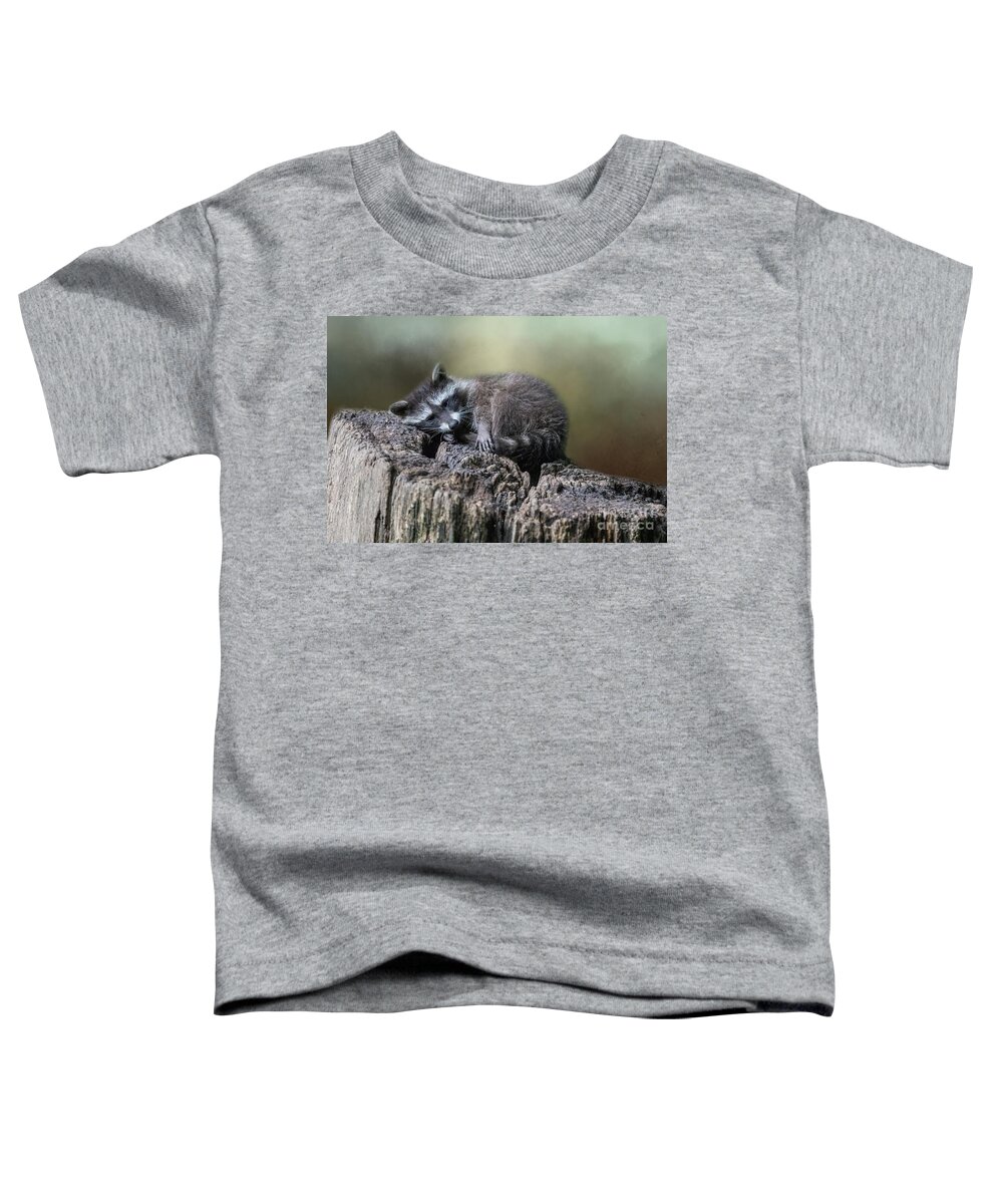 Raccoon Toddler T-Shirt featuring the photograph Having a Rest by Eva Lechner