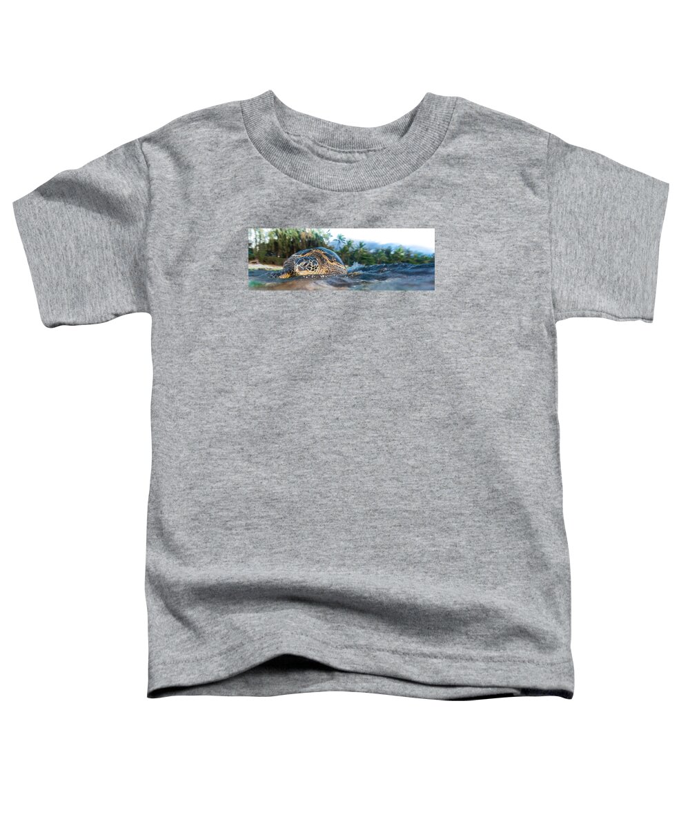 Turtle Panorama Toddler T-Shirt featuring the photograph Hawaiian Sea Turtle Panorama by Leonardo Dale