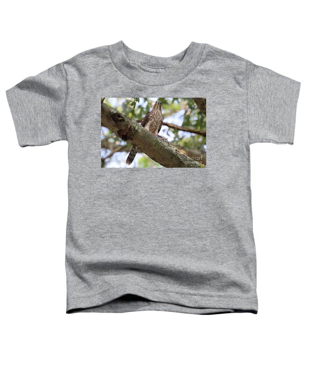 Hawk Toddler T-Shirt featuring the photograph Hawk on a Branch by Steven Spak