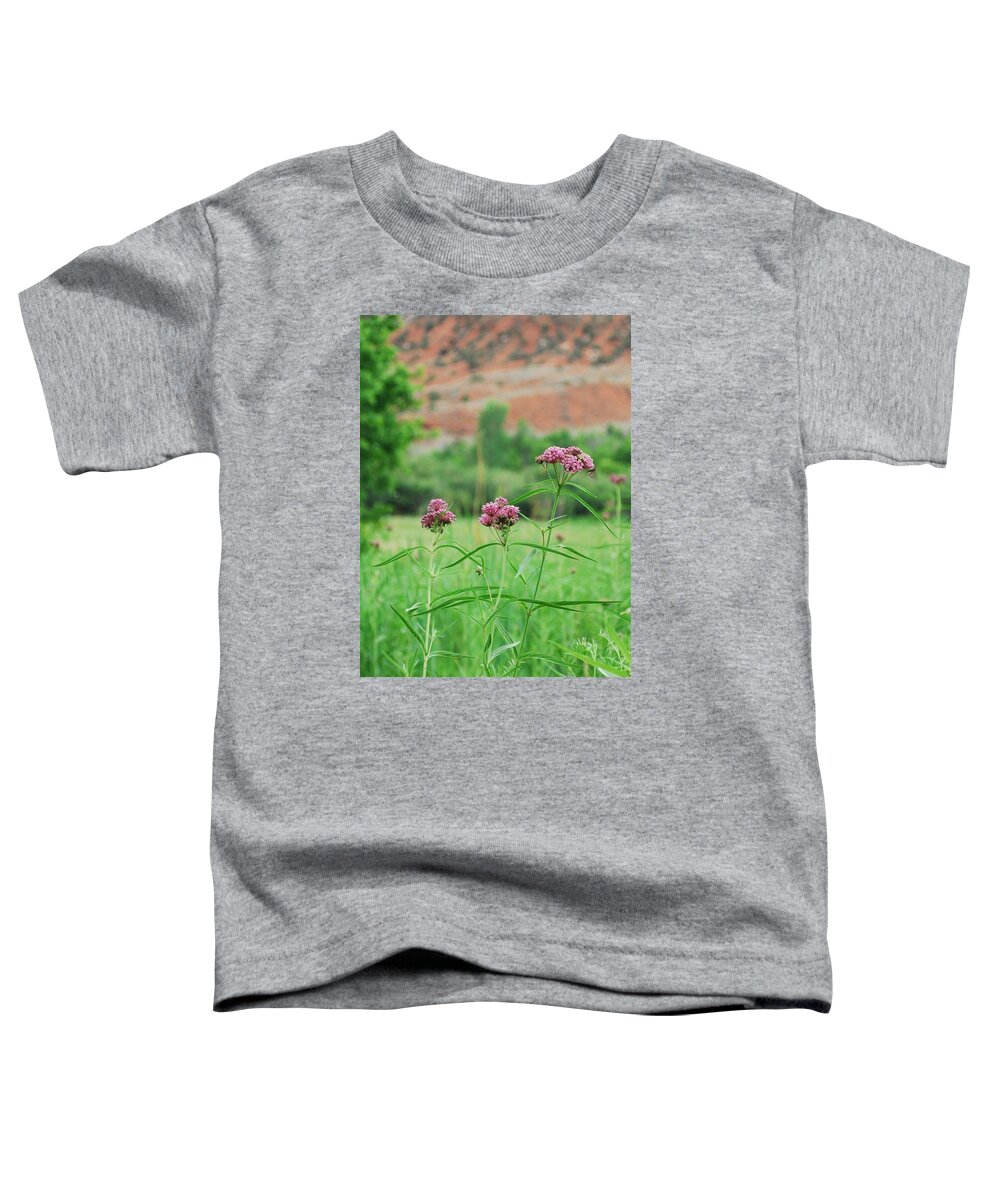 Dinosaur National Monument Toddler T-Shirt featuring the photograph Heat Retreat by Brad Hodges
