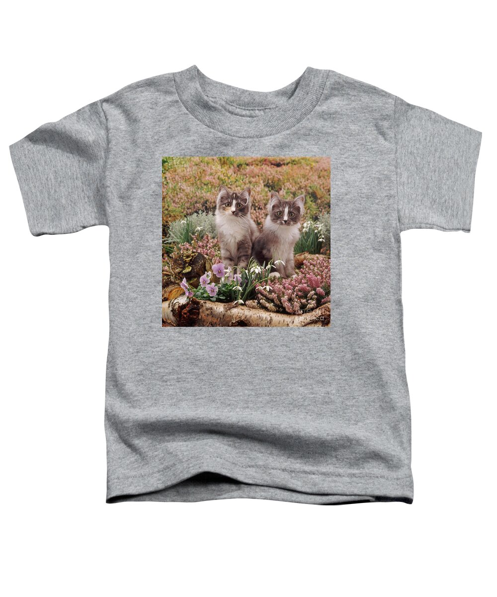 Kittens Toddler T-Shirt featuring the photograph Heather Cats by Warren Photographic