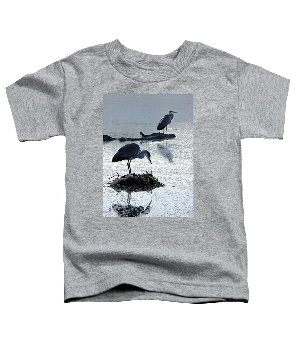  Heron Nest Pair Toddler T-Shirt featuring the photograph Heron on nest by Julia Gavin