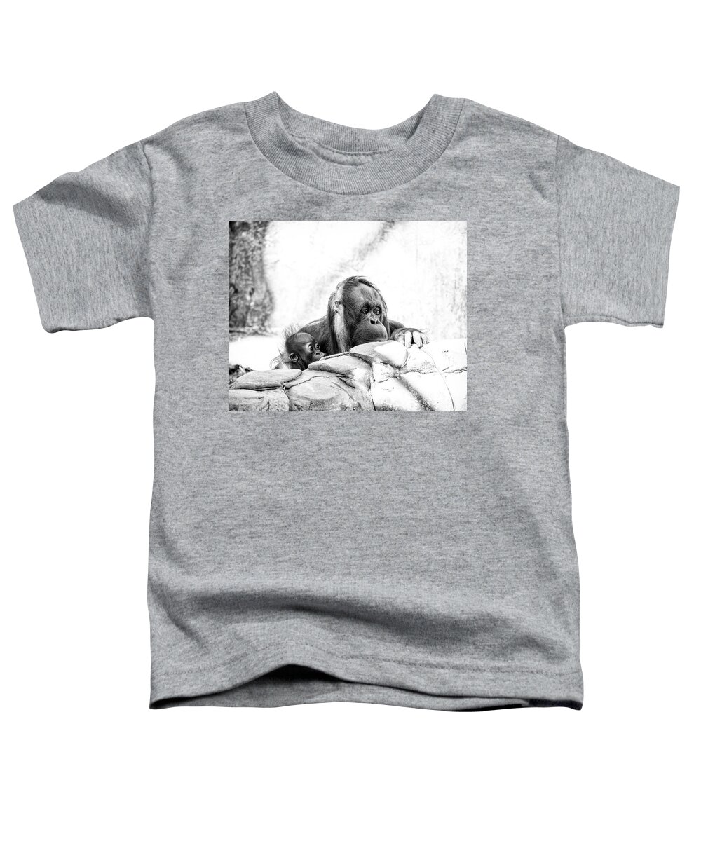Crystal Yingling Toddler T-Shirt featuring the photograph Hiding by Ghostwinds Photography