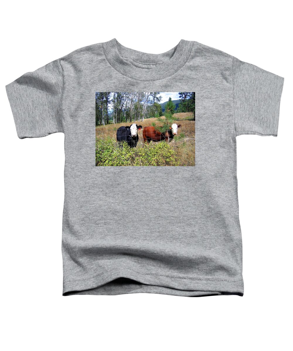 #livestock Toddler T-Shirt featuring the photograph Hillside Buddies by Will Borden