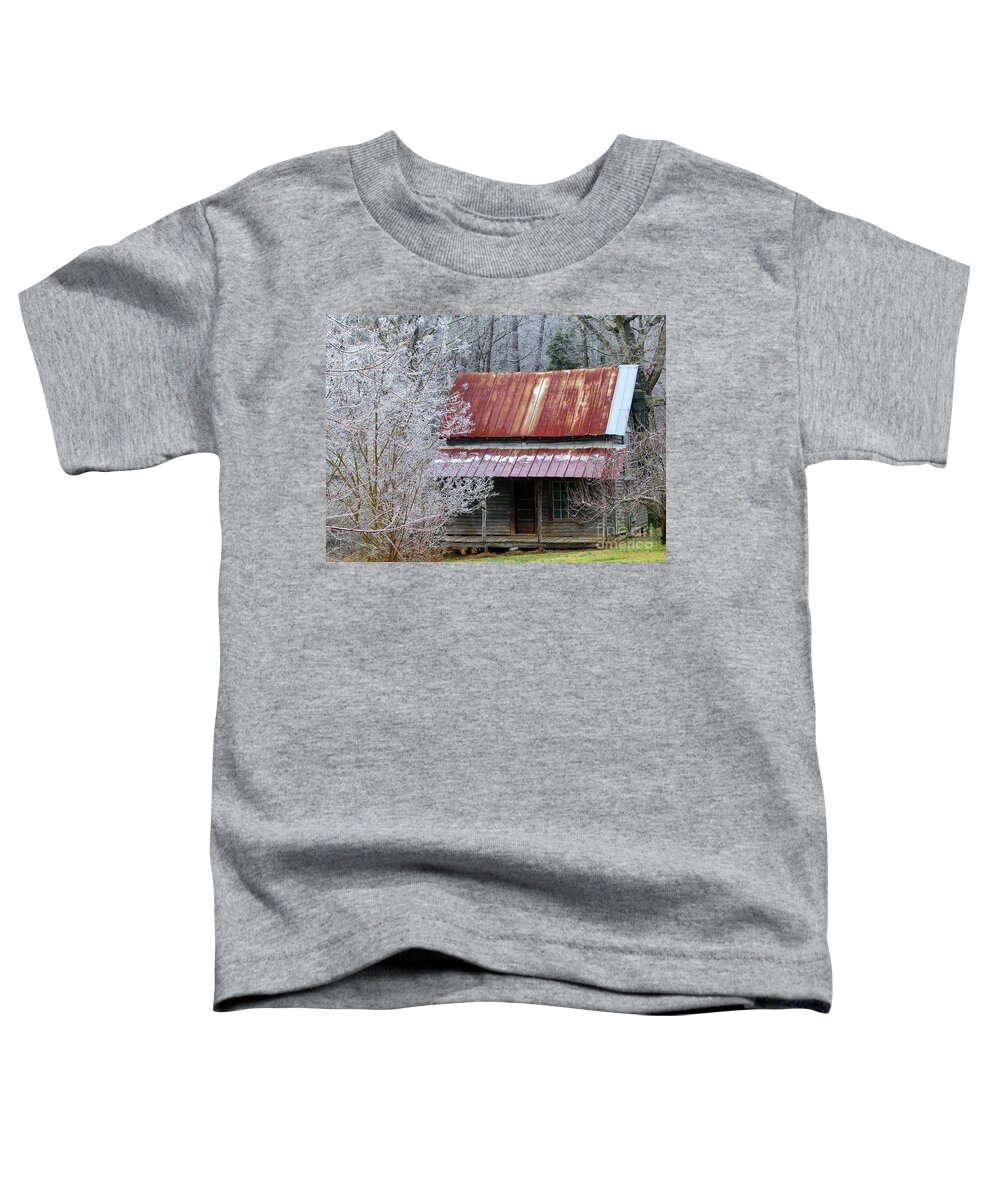 Cabin In Woods Toddler T-Shirt featuring the photograph Historic North Carolina Cabin by Rosanne Licciardi