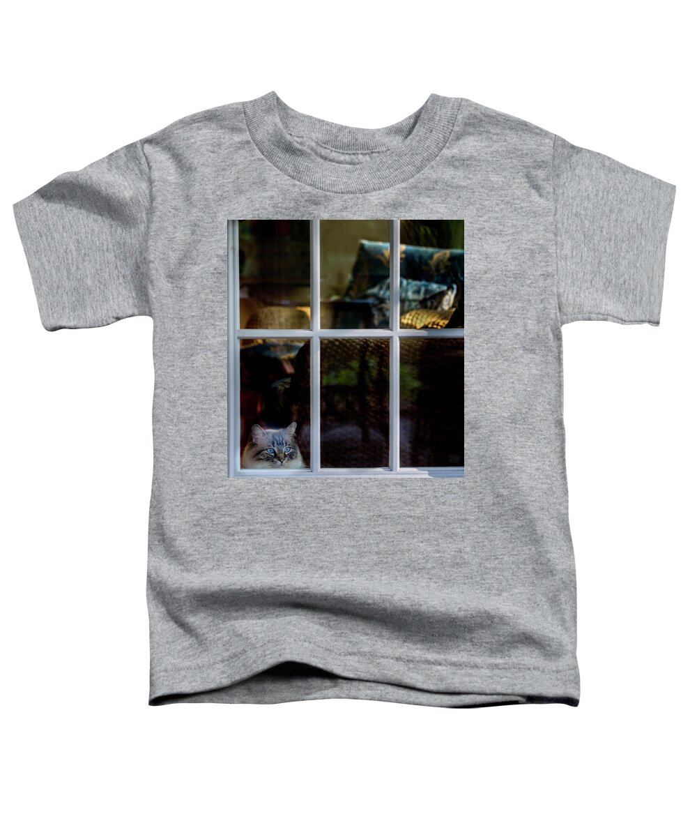 Cat Toddler T-Shirt featuring the photograph Home Alone by David Kay