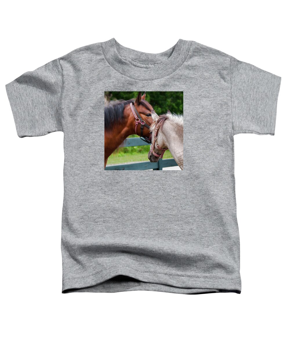 Horse Toddler T-Shirt featuring the photograph Horse Whisperer by John Black