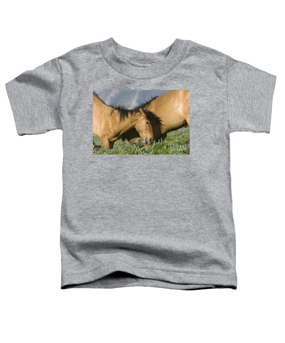 Horse Toddler T-Shirt featuring the photograph Horses Playing by Jean-Louis Klein & Marie-Luce Hubert