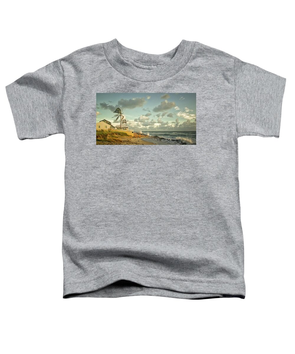 Florida Toddler T-Shirt featuring the photograph House Of Refuge by Steve DaPonte