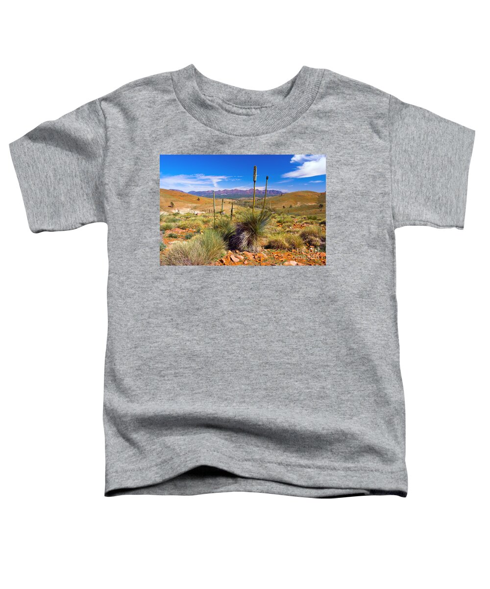 Hucks Lookout Flinders Ranges Wilpena Pound Outback Landscape Landscapes South Australia Australian Toddler T-Shirt featuring the photograph Hucks Lookout by Bill Robinson