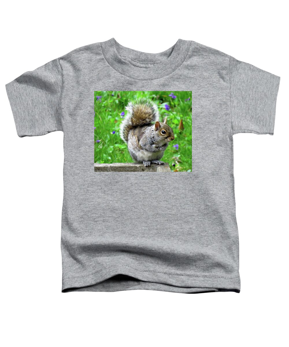Eastern Grey Squirrels Toddler T-Shirt featuring the photograph Humble Squirrel by Linda Stern