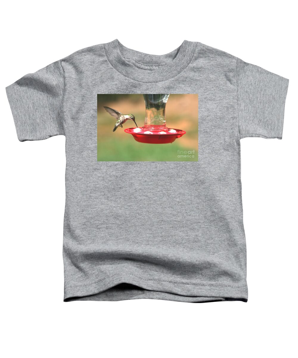 Hummingbird Toddler T-Shirt featuring the photograph Hummingbird by Stacy C Bottoms
