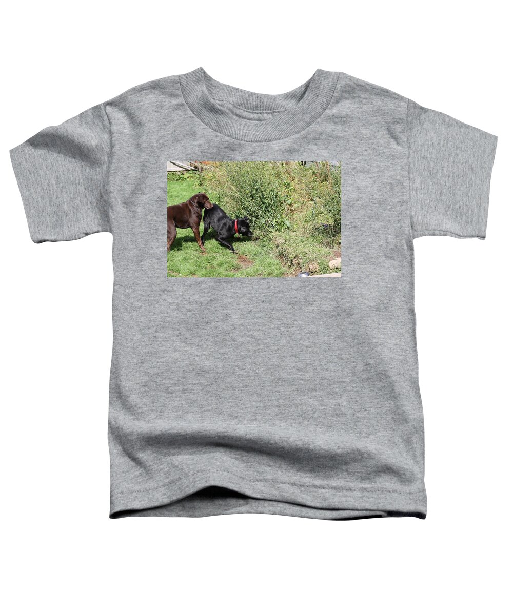 Animals Toddler T-Shirt featuring the photograph I KNOW There's Something In There by Greg DeBeck