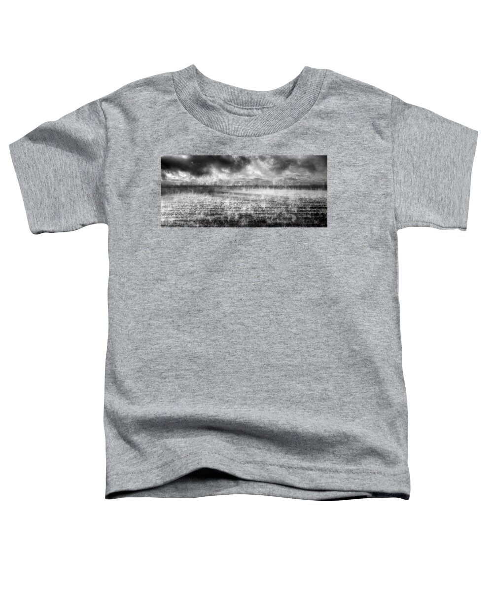 Panoramic Toddler T-Shirt featuring the photograph Ice Fog by Doug Gibbons