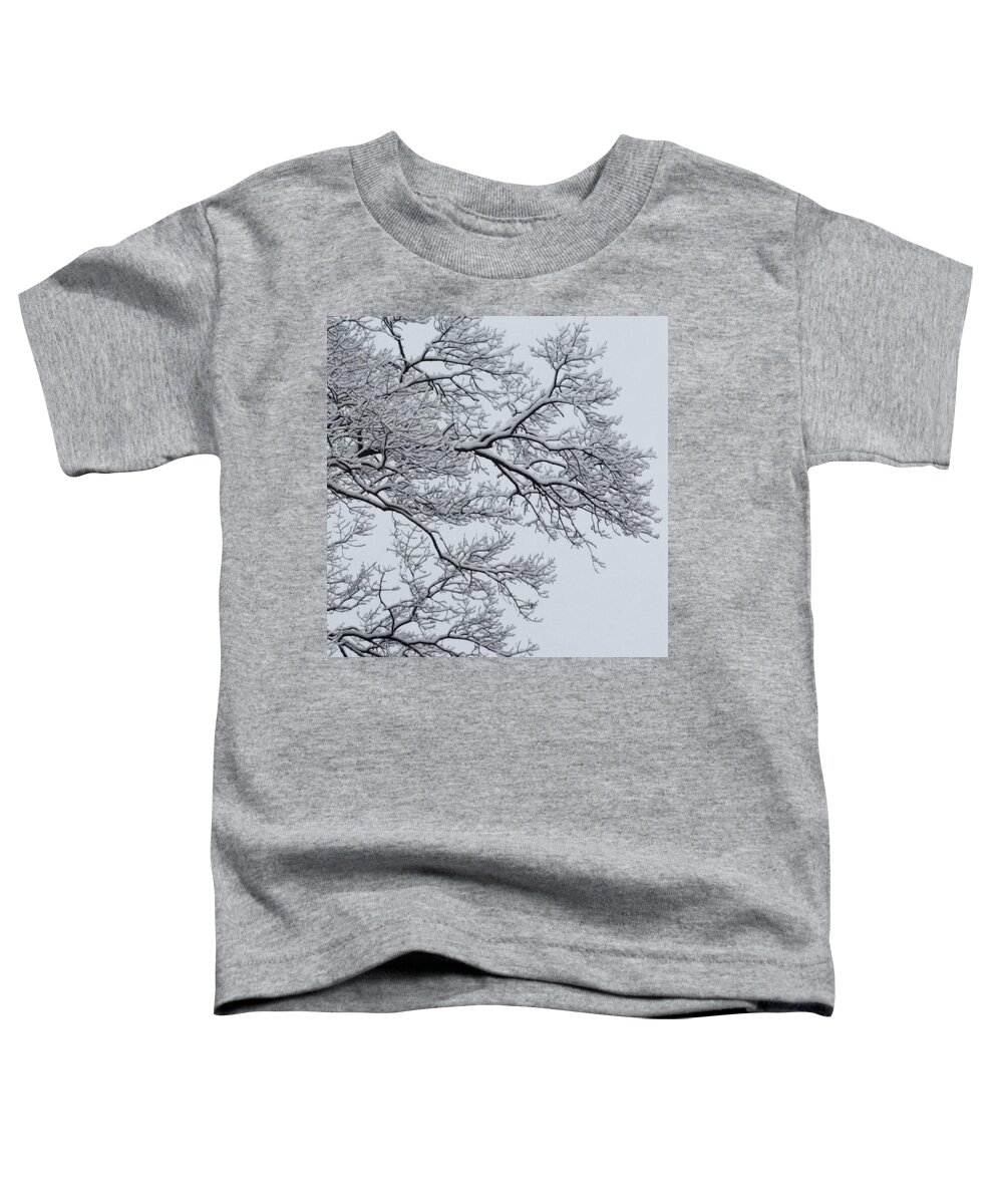 Ice Toddler T-Shirt featuring the photograph Icey Winter Branch by Vic Ritchey