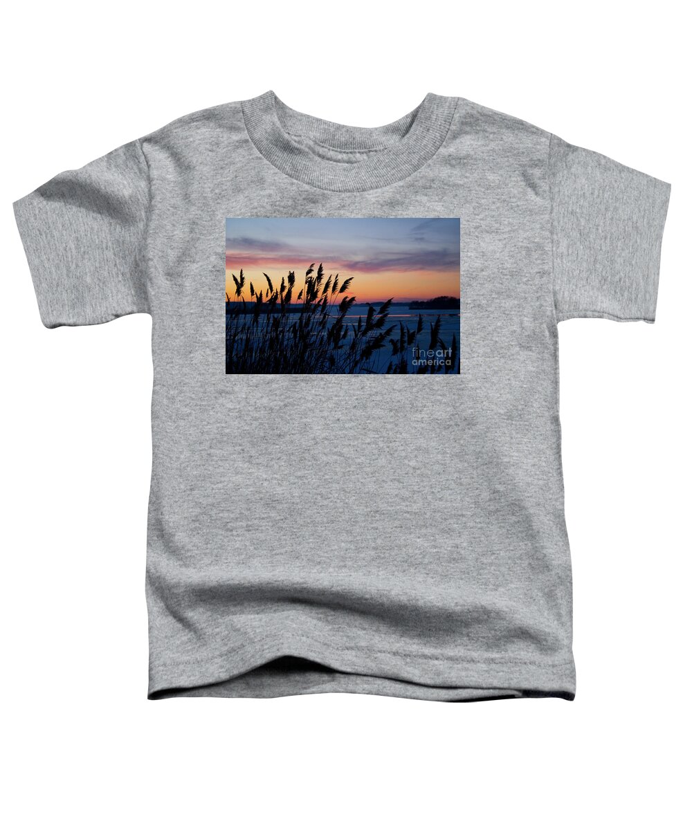 Sunset Toddler T-Shirt featuring the photograph Illinois River Winter Sunset by Paula Guttilla