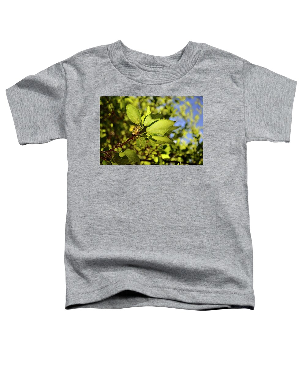 Landscape Toddler T-Shirt featuring the photograph Illuminated Leaves by Ron Cline