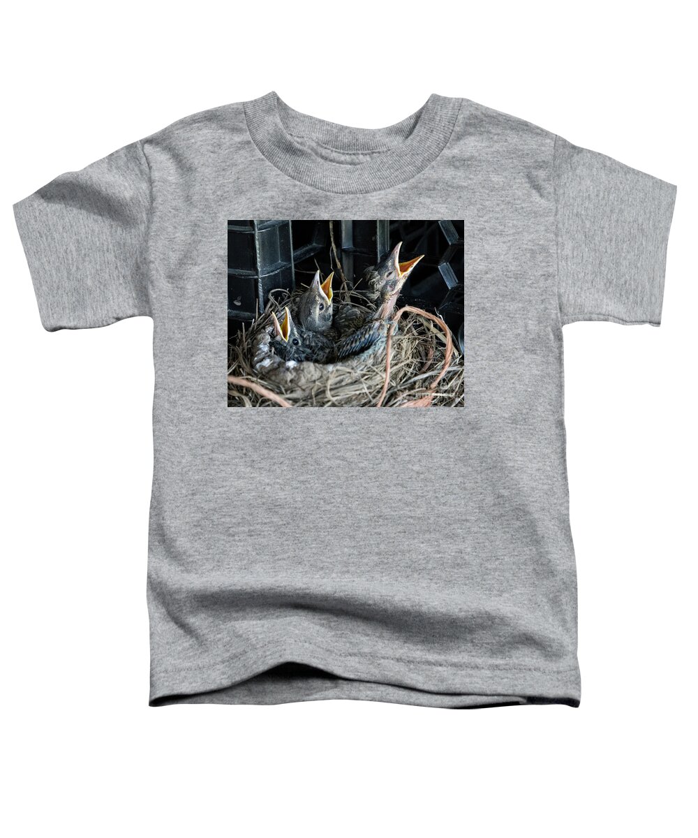 Trio Toddler T-Shirt featuring the photograph We're Hungry by Jim Gillen