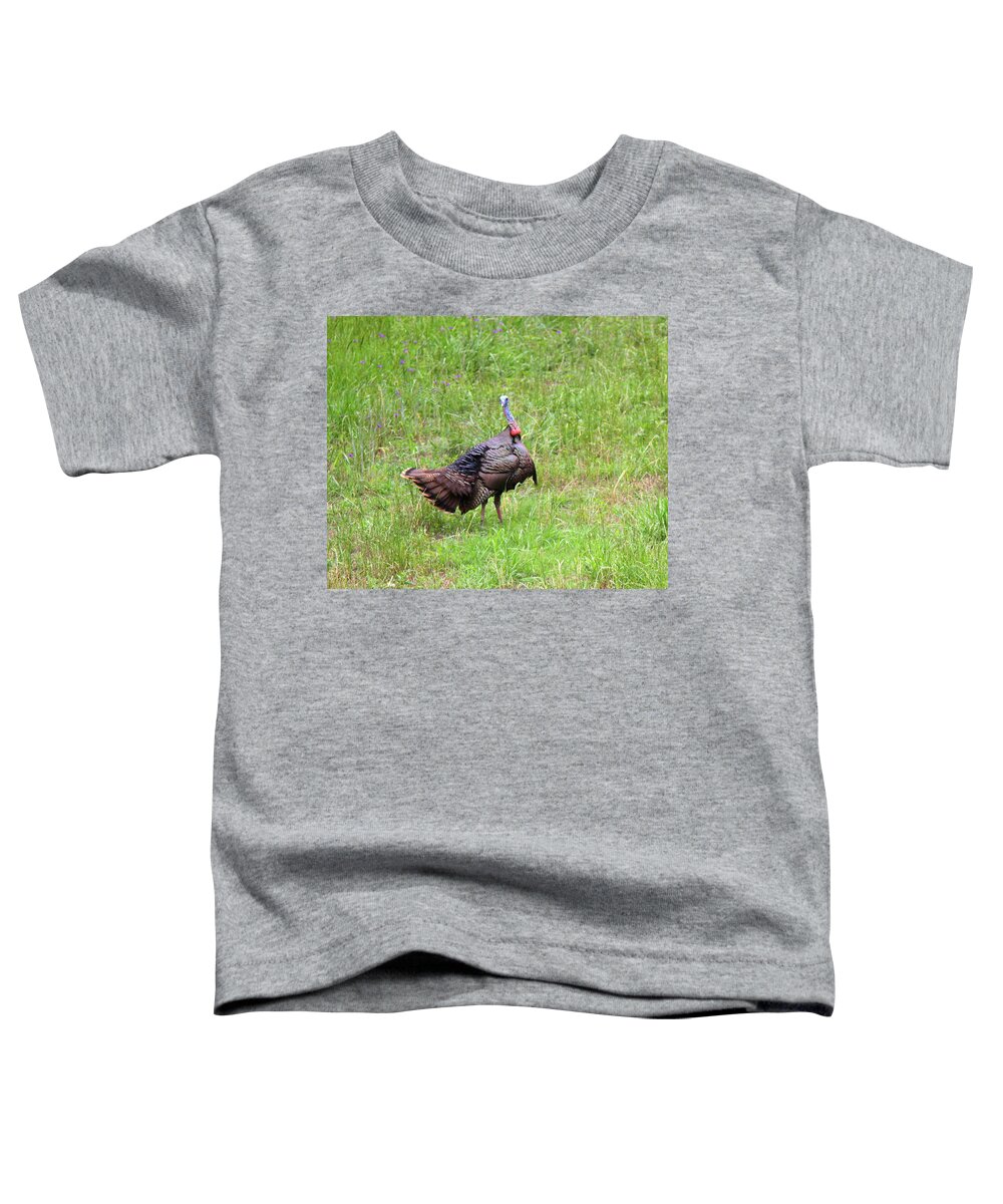 Wild Turkey Toddler T-Shirt featuring the photograph IMG_0961 - Wild Turkey by Travis Truelove