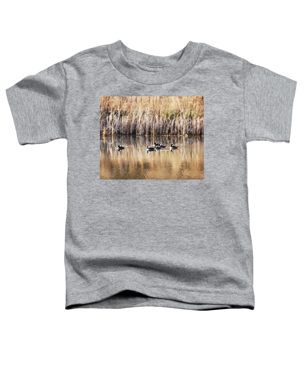 Hooded Mergansers Toddler T-Shirt featuring the photograph IMG_3101-001 - Hooded Mergansers by Travis Truelove