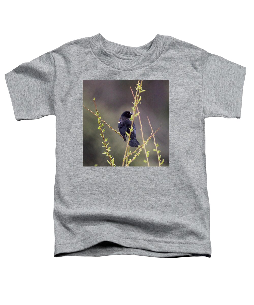 Red-winged Blackbird Toddler T-Shirt featuring the photograph IMG_9699-001 - Red-winged Blackbird by Travis Truelove