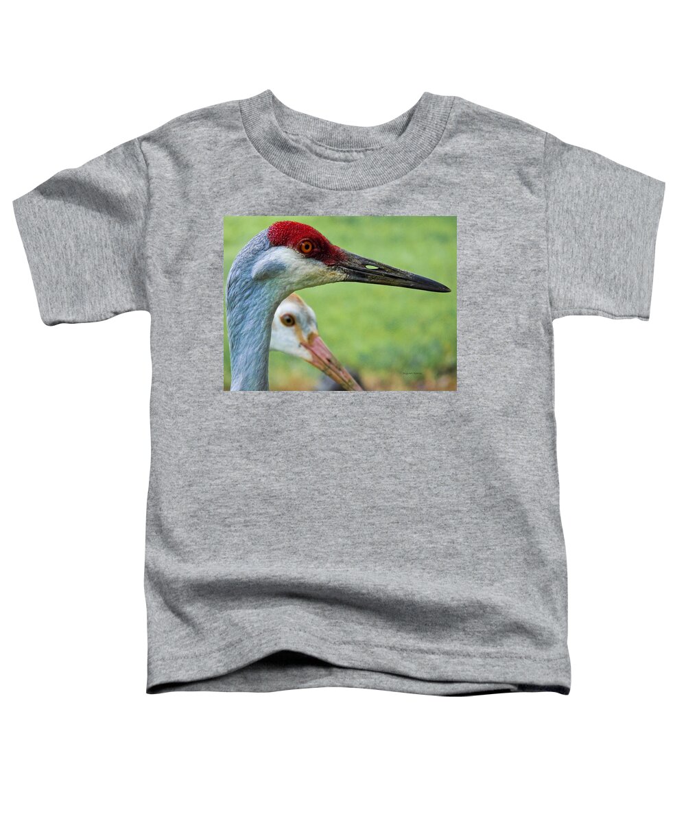 Sandhill Crane Toddler T-Shirt featuring the photograph In Its Parents Shadow by DigiArt Diaries by Vicky B Fuller