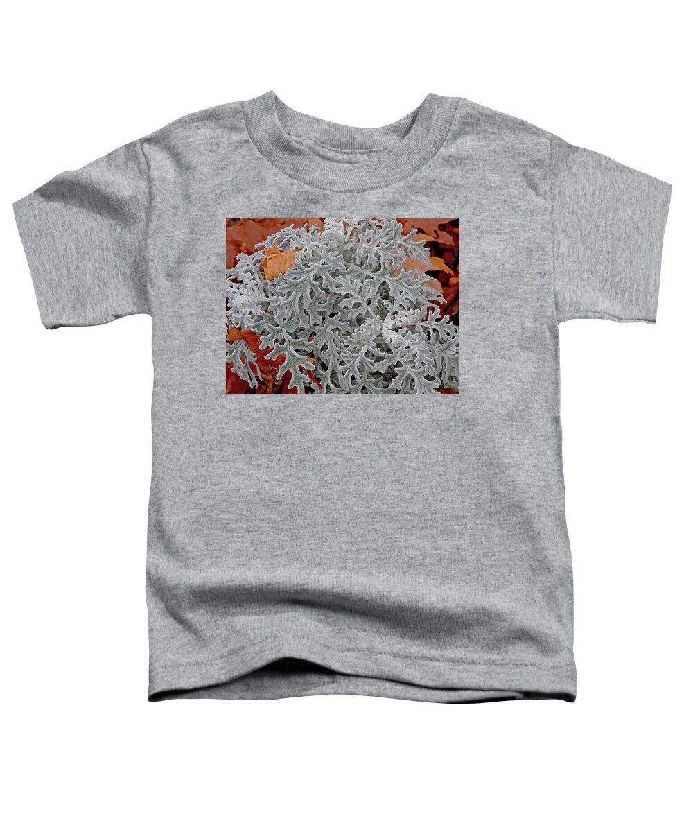 Patterns Toddler T-Shirt featuring the photograph In Perfect Form by Lynda Lehmann