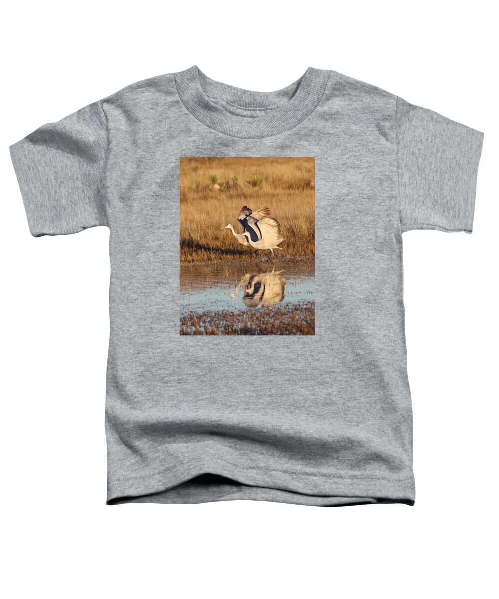 Sandhill Toddler T-Shirt featuring the photograph In Sync by Jean Clark