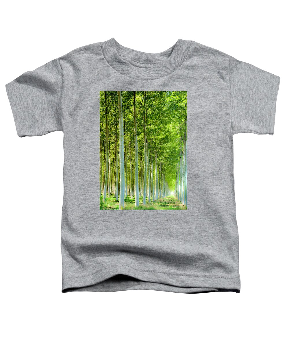 Woods Toddler T-Shirt featuring the photograph In The Woods 4 by Wolfgang Stocker