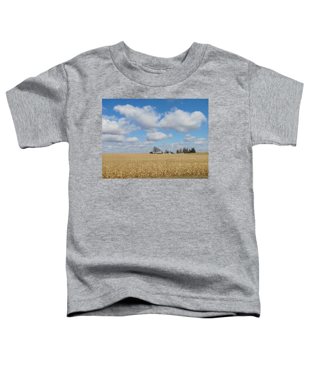 Iowa Toddler T-Shirt featuring the photograph Iowa 3 by Anita Burgermeister