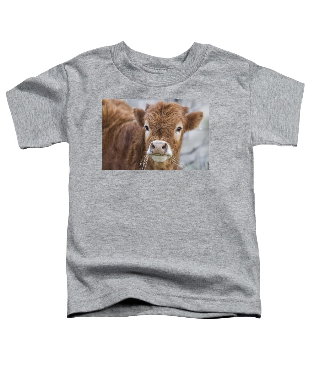 Calf Toddler T-Shirt featuring the photograph It's Hard to Smile When Your Mouth Is Full by Belinda Greb