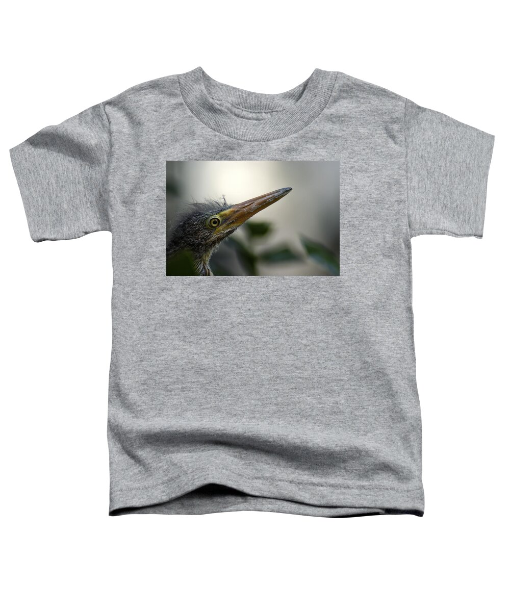Heron Toddler T-Shirt featuring the photograph Just Love Me by DArcy Evans
