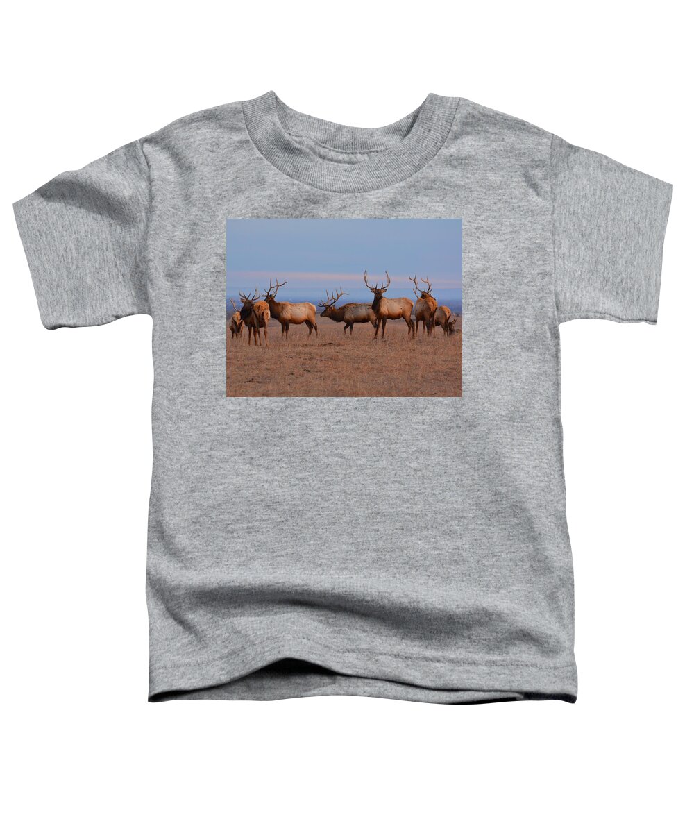 Elk Toddler T-Shirt featuring the photograph Kansas Elk Panarama by Keith Stokes