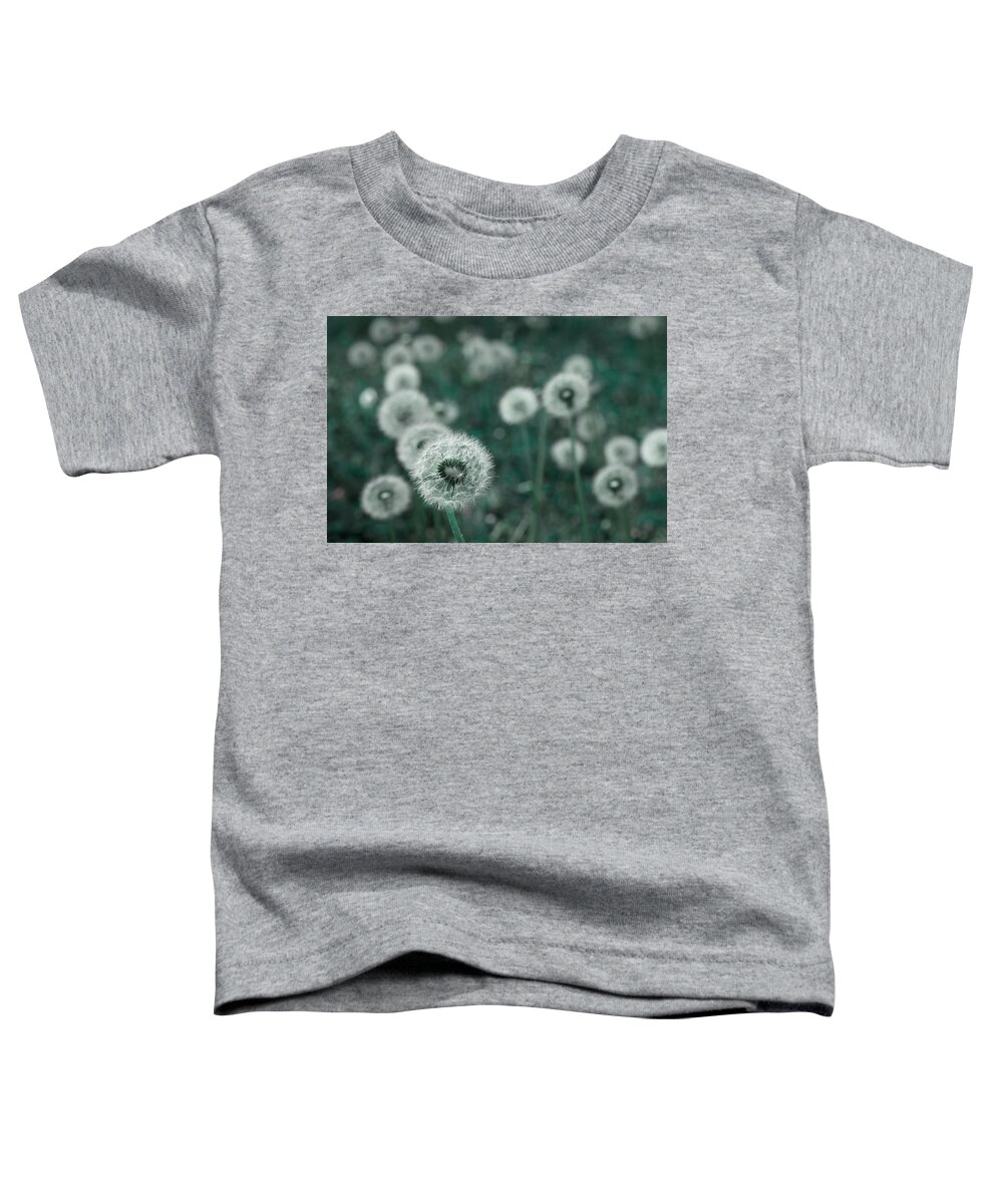 Dandelion Toddler T-Shirt featuring the photograph Keep Wishing by Mike Eingle