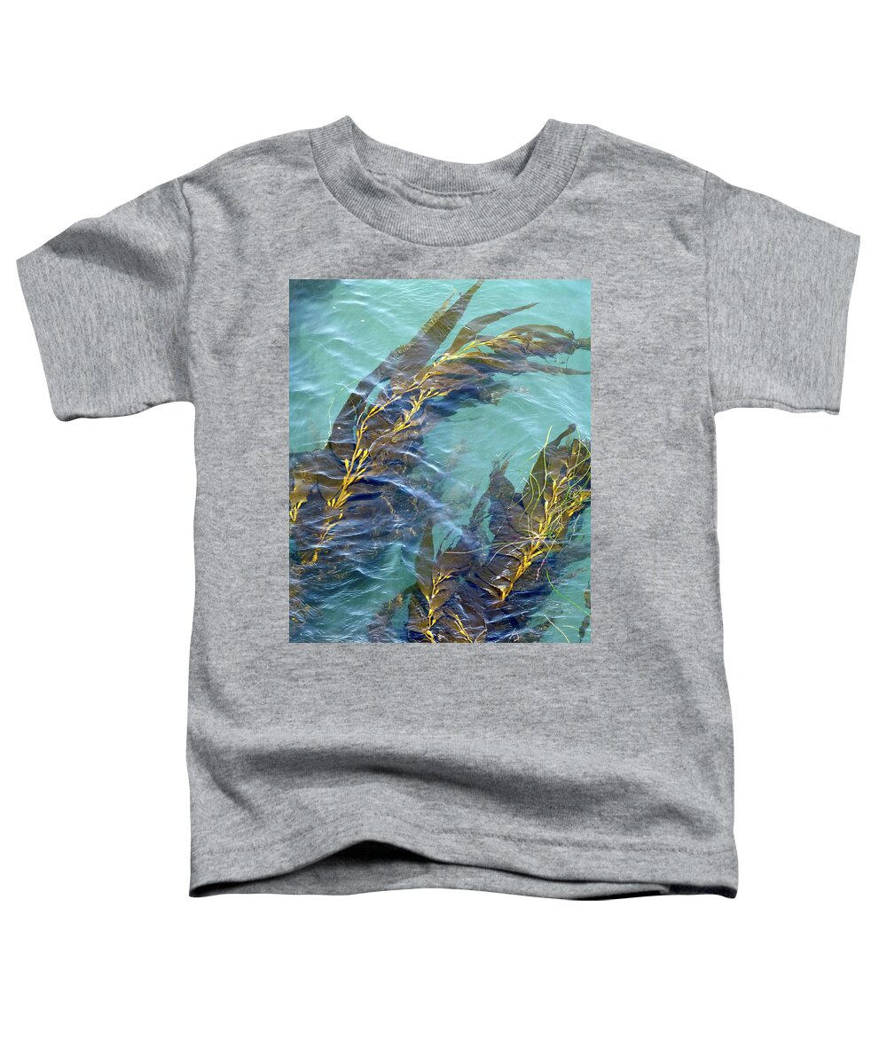 Monterey Bay Aquarium Toddler T-Shirt featuring the photograph Kelp Patterns by Amelia Racca