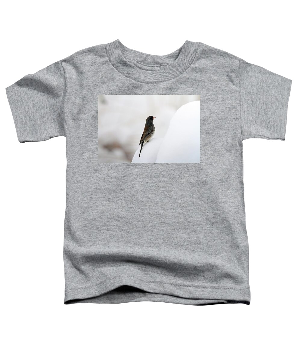 Junco Toddler T-Shirt featuring the photograph King of the Hill by Jackson Pearson